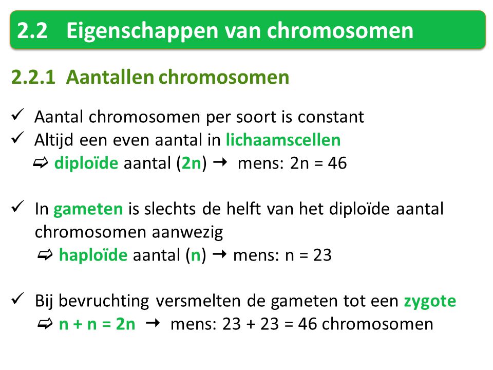 2.2 Eigenschappen van chromosomen