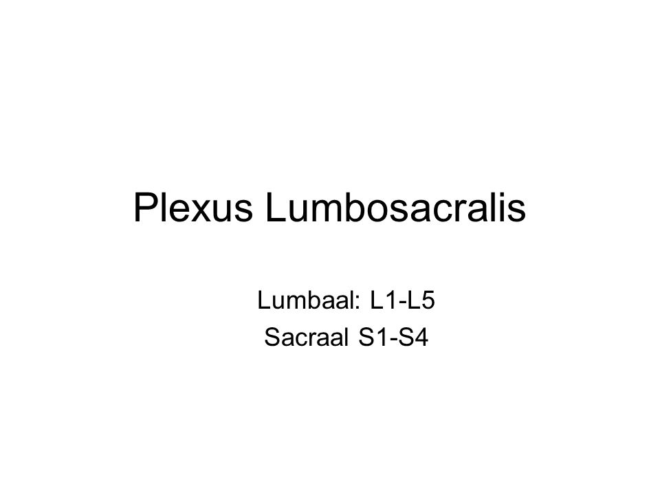 Lumbaal: L1-L5 Sacraal S1-S4