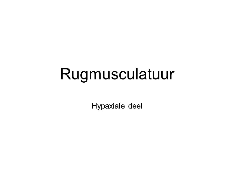 Rugmusculatuur Hypaxiale deel