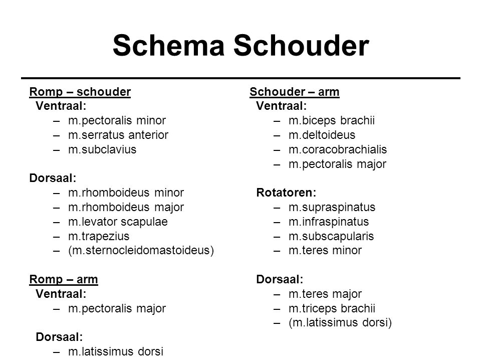 Schema Schouder Romp – schouder Ventraal: m.pectoralis minor