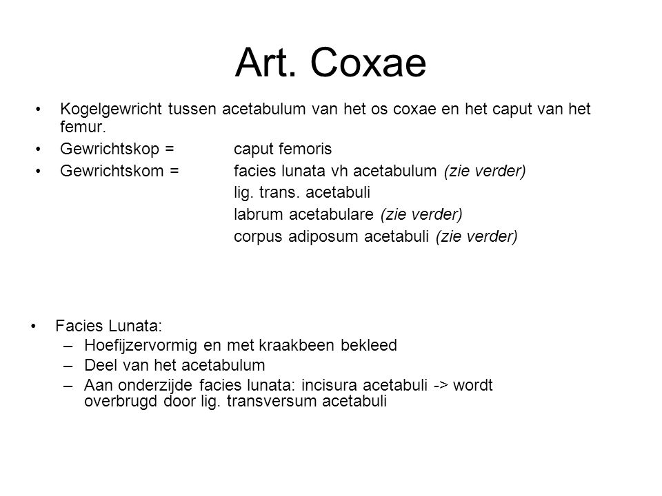 Art. Coxae Kogelgewricht tussen acetabulum van het os coxae en het caput van het femur. Gewrichtskop = caput femoris.