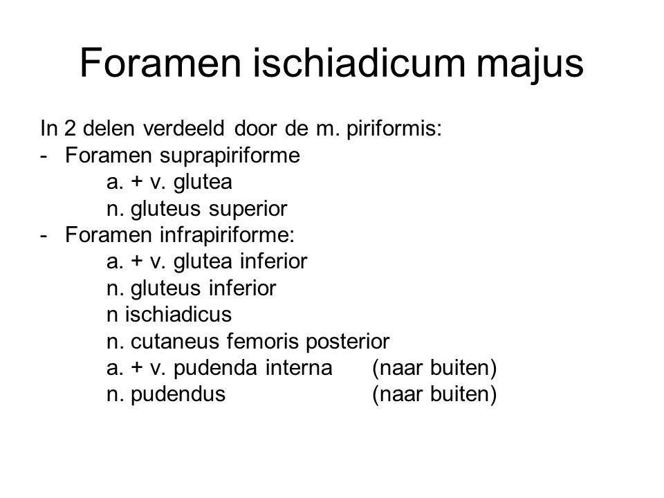 Foramen ischiadicum majus