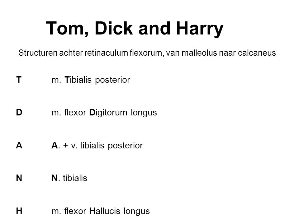 Tom, Dick and Harry T D A N H m. Tibialis posterior