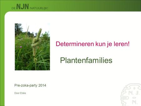 Plantenfamilies Determineren kun je leren!