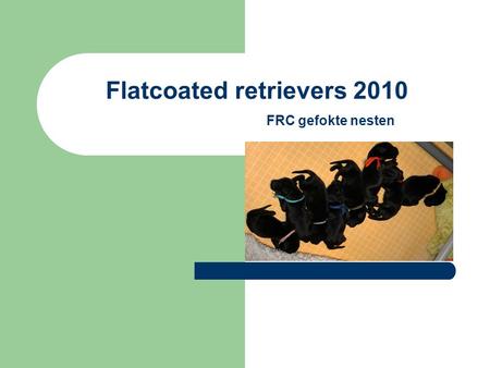 Flatcoated retrievers 2010 FRC gefokte nesten. 54 Dekberichten 8 niet opgenomen 46 nesten.