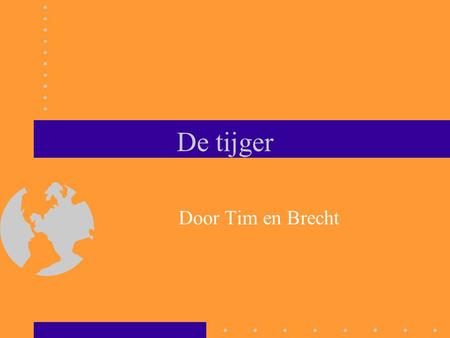 De tijger Door Tim en Brecht.