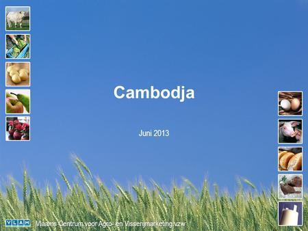 Vlaams Centrum voor Agro- en Visserijmarketing vzw Cambodja Juni 2013.