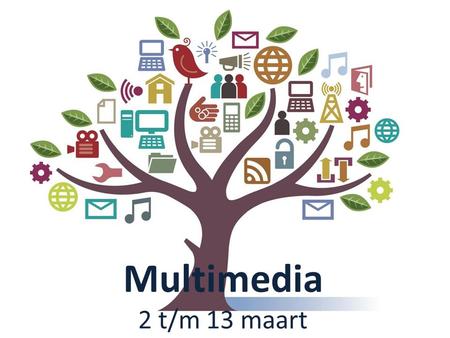 Multimedia 2 t/m 13 maart.