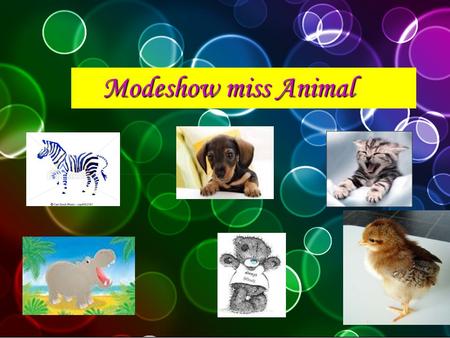Modeshow miss Animal Welkom dames en heren op de modeshow miss animal!