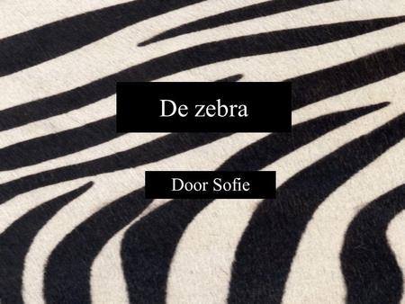 De zebra Door Sofie.