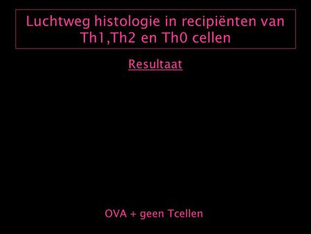 Luchtweg histologie in recipiënten van Th1,Th2 en Th0 cellen Resultaat OVA + geen Tcellen.