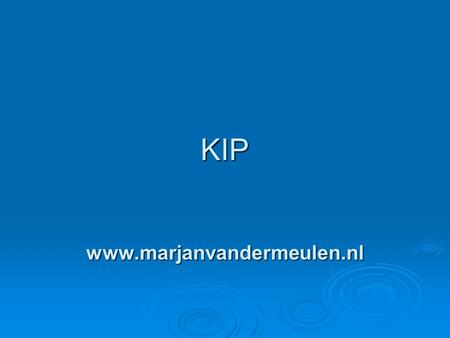 KIP KIP www.marjanvandermeulen.nl www.marjanvandermeulen.nl.