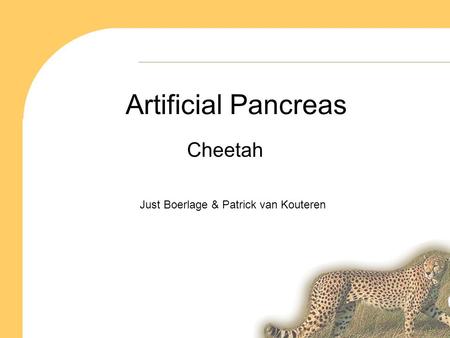 Artificial Pancreas Cheetah Just Boerlage & Patrick van Kouteren.