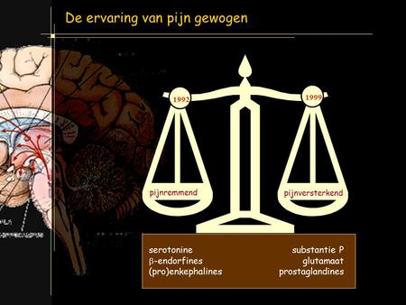 De ervaring van pijn gewogen