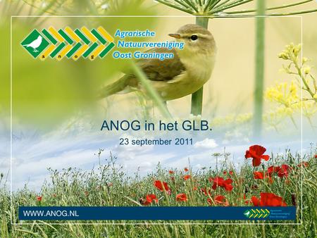 ANOG in het GLB. 23 september 2011. Inhoud presentatie 1.Introductie van de ANOG 2.ANOG in het GLB 3.GLB-pilot 4.En nu….