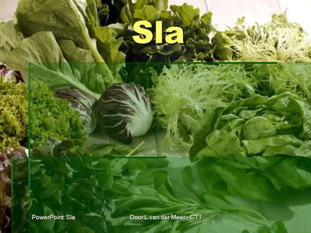 Sla PowerPoint: Sla Door L van der Meer - CT1.