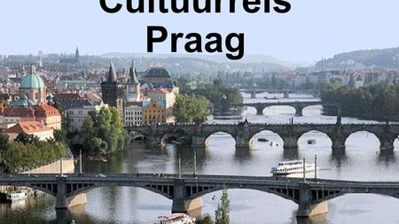 Cultuurreis Praag. Praktisch Busreis: vertrek 7/4 ‘s avonds, terug 12/4 voormiddag 40 personen €250 Verblijf in A Plus Hostel (3 nachten met ontbijt)