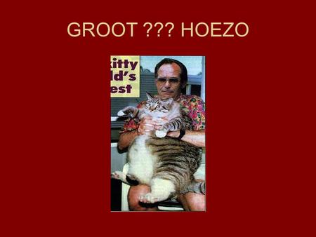 GROOT ??? HOEZO MAG HET IETSJES MEER ZIJN NOG MEER KAN NIET OF WEL ????