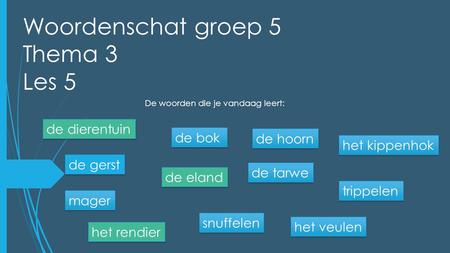 Woordenschat groep 5 Thema 3 Les 5