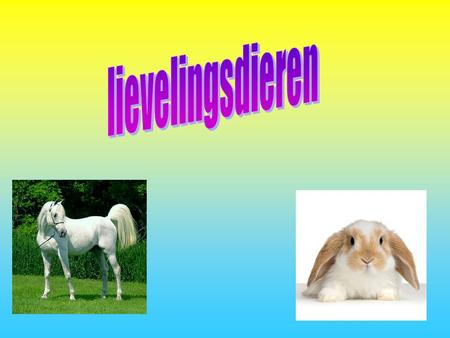 Lievelingsdieren.