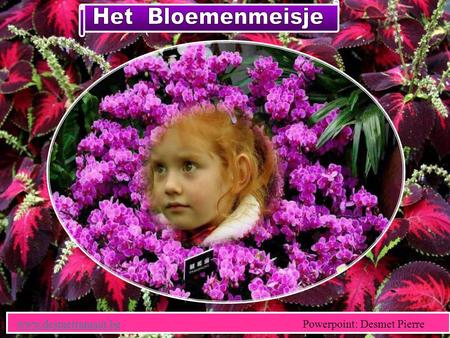 Het Bloemenmeisje www.desmetramaut.be   Powerpoint: Desmet Pierre.