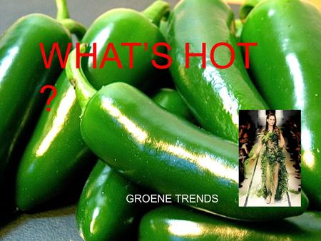 WHAT’S HOT ? GROENE TRENDS. Sara (10 jr) inwoner van Den Haag: “eerst waren er nog wel stukjes groen om op te spelen. Maar nu staan daar allemaal gebouwen.