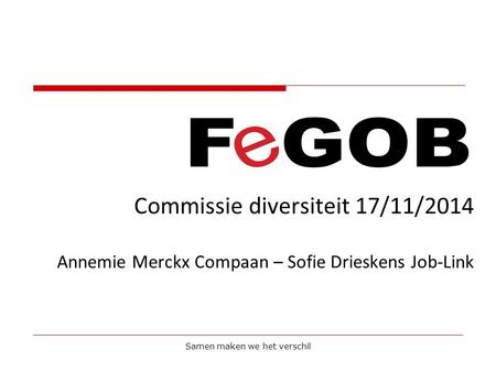 Commissie diversiteit 17/11/2014 Annemie Merckx Compaan – Sofie Drieskens Job-Link Samen maken we het verschil.