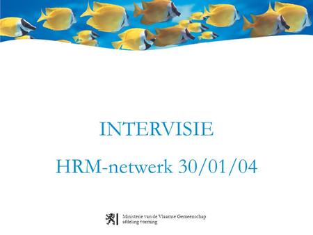 Ministerie van de Vlaamse Gemeenschap afdeling vorming INTERVISIE HRM-netwerk 30/01/04.