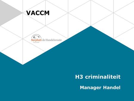 VACCM H3 criminaliteit Manager Handel.