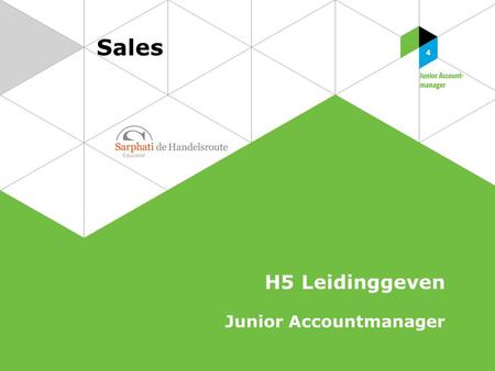 Sales H5 Leidinggeven Junior Accountmanager.