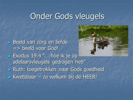 Onder Gods vleugels Beeld van zorg en liefde => beeld voor God!