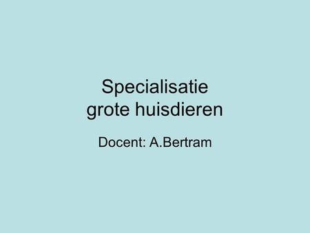 Specialisatie grote huisdieren Docent: A.Bertram.