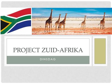 Project Zuid-Afrika dinsdag.