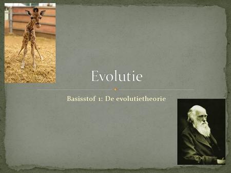 Basisstof 1: De evolutietheorie