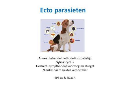 Ecto parasieten Aimee: behandelmethode/incubatietijd Sylvia: cyclus Liesbeth: sympthonen/ voorzorgsmaatregel Nienke: naam ziekte/ veroorzaker EP31A & ED31A.