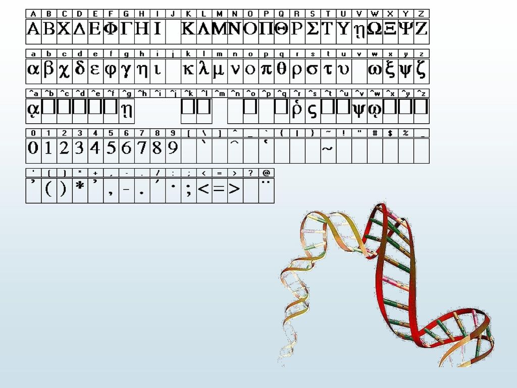 Epigenetica S De Groot En S Kuijl Ppt Download