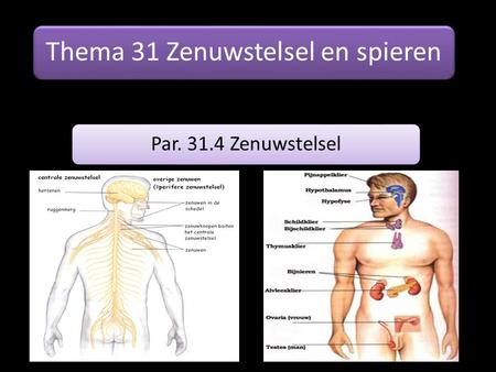 Thema 31 Zenuwstelsel en spieren