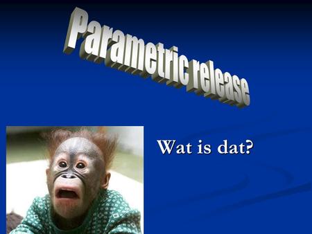 Parametric release Wat is dat?.