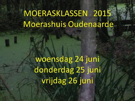 MOERASKLASSEN 2015 Moerashuis Oudenaarde