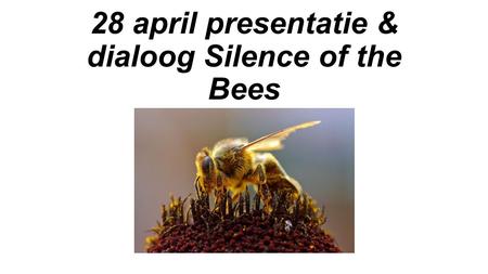 28 april presentatie & dialoog Silence of the Bees.