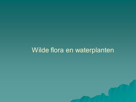 Wilde flora en waterplanten