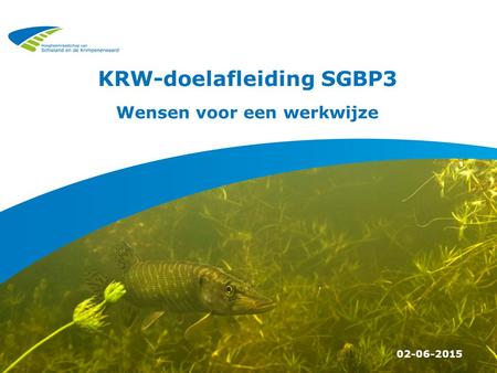 KRW-doelafleiding SGBP3 02-06-2015 Wensen voor een werkwijze.