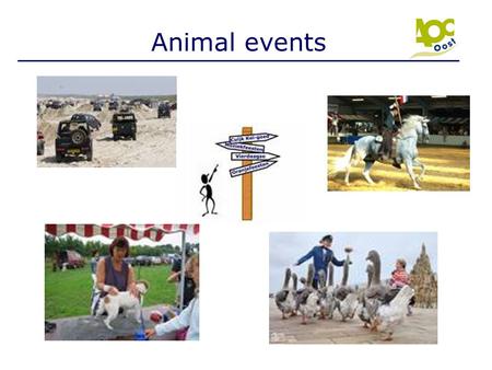 Animal events Locatiedirecteur Introductie dia – nog niets uitleggen.