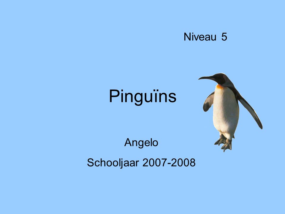 Niveau 5 Pinguïns Angelo Schooljaar ppt video online download
