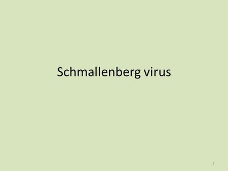 Schmallenberg virus 1. Bronnen Wetenschappelijke bijeenkomst 24 jan 2012 GD:  VWA:
