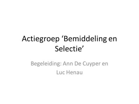 Actiegroep ‘Bemiddeling en Selectie’ Begeleiding: Ann De Cuyper en Luc Henau.