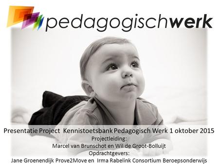 Presentatie Project Kennistoetsbank Pedagogisch Werk 1 oktober 2015