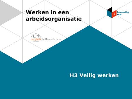 Werken in een arbeidsorganisatie