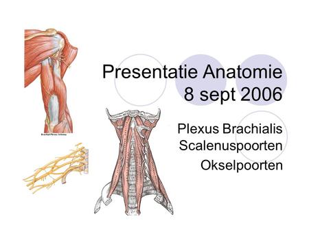 Presentatie Anatomie 8 sept 2006