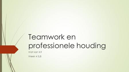 Teamwork en professionele houding